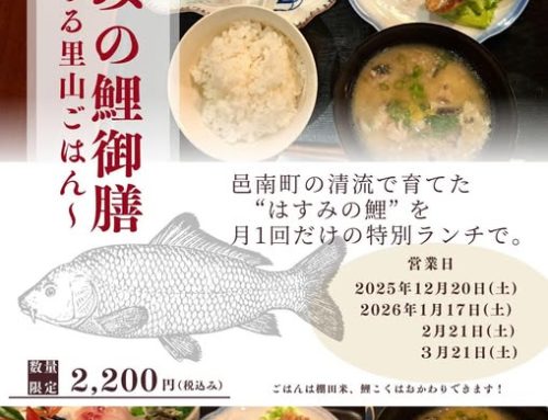 12月～3月の間、はすみの鯉御膳が食べられます！